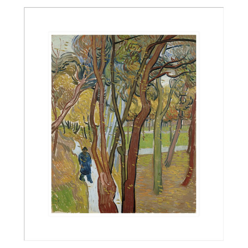 «The Garden of Saint Paul's Hospital» par Vincent van Gogh, impression giclée encadrée, H 20,53 po x l 17,75 po