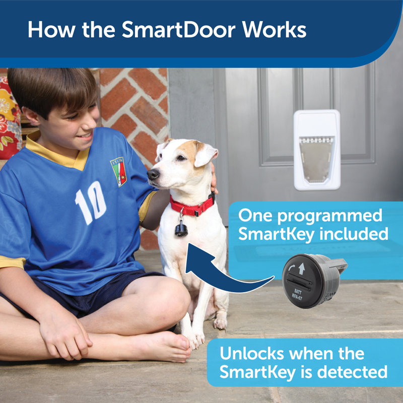 PetSafe Electronic Pet Door, Large, Large