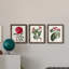 Ensemble de 3 peintures sur toile Roseat Blooms IV-1642987164-1642987160