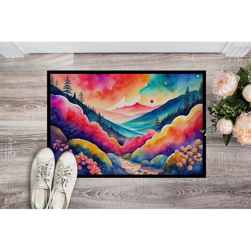 Pacome Non-Slip Doormat, 24" W x 36" L