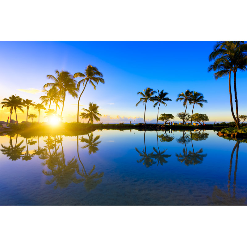 Sunrise Behind Palm Trees In Kauai, Hawaii by Pawel Gaul - Print, 81cm H x 122cm W