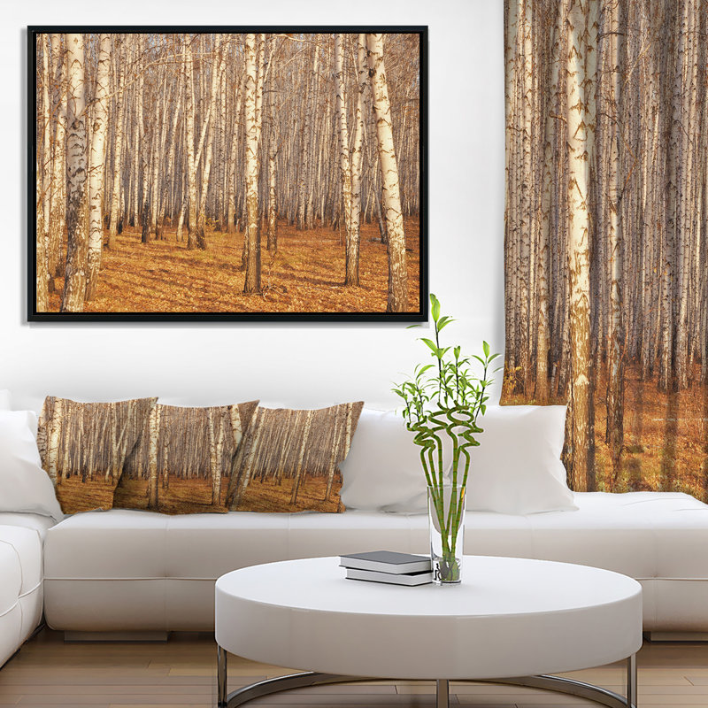 «Dense Birch Forest in the Fall», photographie, H 16 po x l 32 po x P 1 po, Toile avec cadre flottant