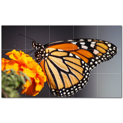 Murale décorative en céramique 12 po x 12 po Butterfly Photo