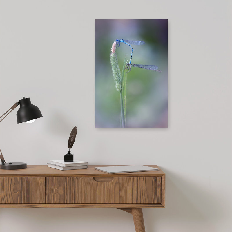 Blue Damselfly Love Delicate Serene Tranquil Animal Nature Wall Art Print 1 Piece Wrapped Canvas Wall Art