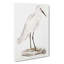 Indian White Heron by John Edward Gray - Wrapped Canvas-55361957