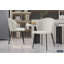 Shakia Tufted Polyester Wingback Dining Chair-1883047651