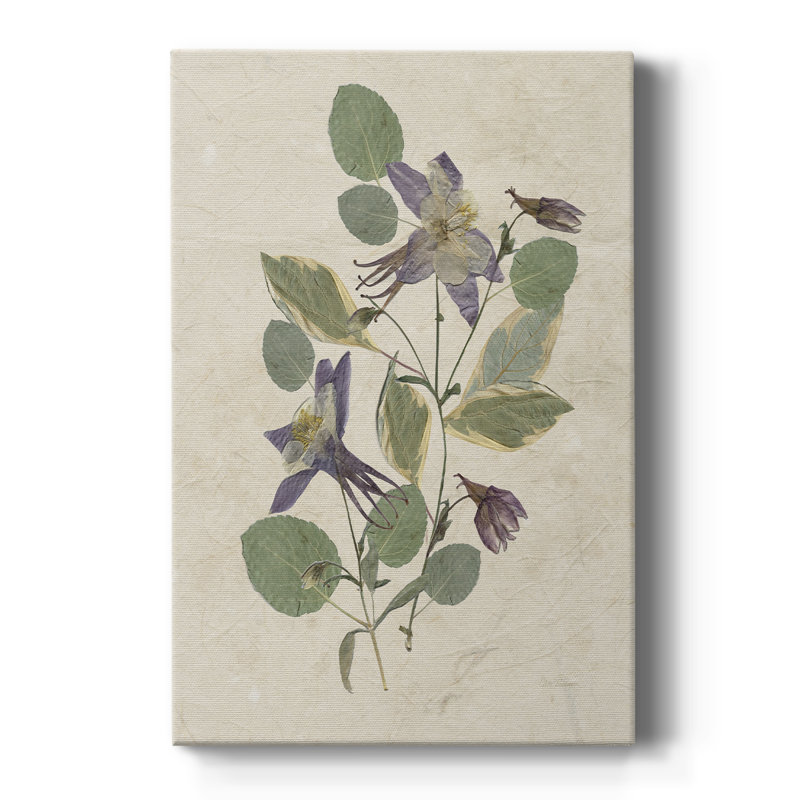 Pressed Arrangement IV - Gallery Cavas, H 18 po x l 12 po