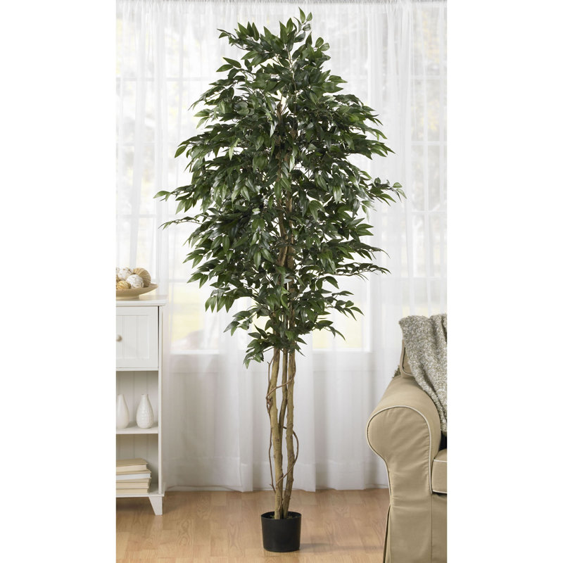 Faux Olive Tree Tree in Pot, 72" H x 35" W x 35" D