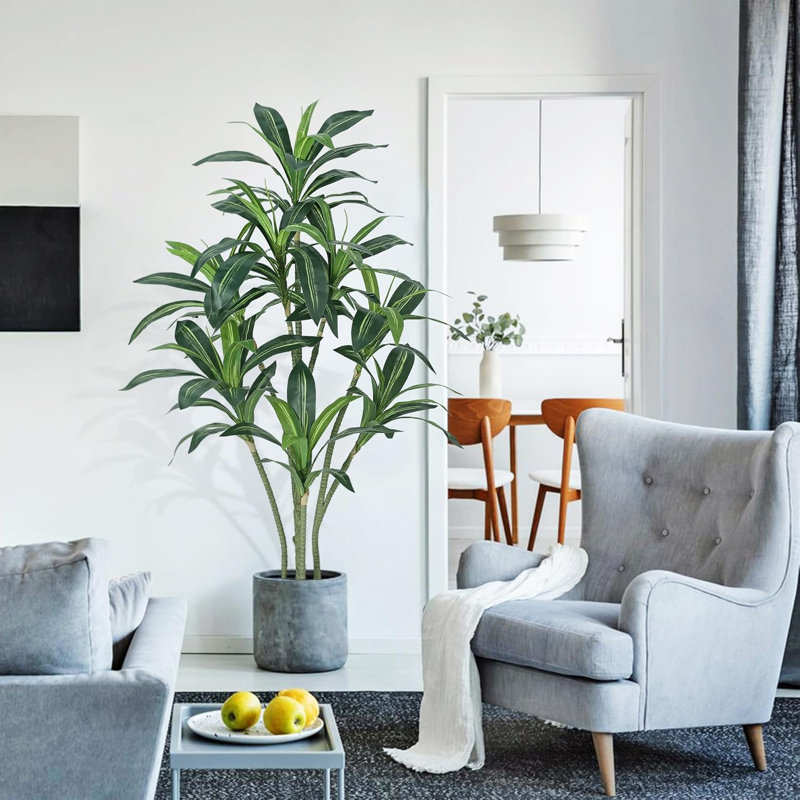 Arrangement