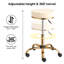 Adjustable Height Ergonomic Lab Stool with Footrest-115153806