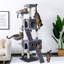 Arbre à chat 69 "Egremont-374617149