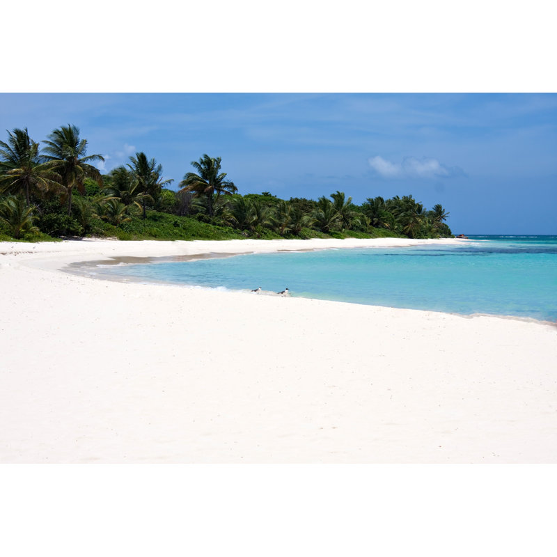 Flamenco Beach by Arenacreative - Wrapped Canvas Print, 30cm H x 46cm W