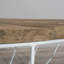 Sandrine Pedestal Coffee Table-21417318-21305912