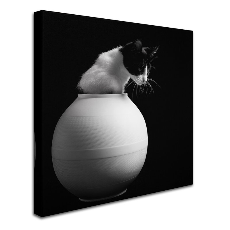« chanel », reproduction de photo sur toile tendue, H 14 po x l 14 po