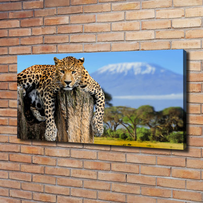 Leopard On The Trunk - Wrapped Canvas Print