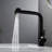 Pull-Out Faucet For Kitchen And Bathroom-109790112