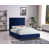 Blue is out of stock selected