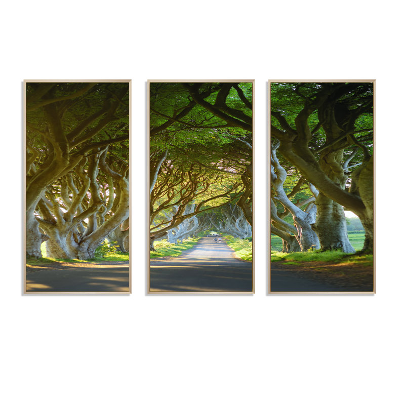 Avenue of Beech Trees - 3 pièces, reproduction sur toile, H 20 po x l 36 po x P 1 po, Cadre brun