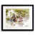 Black Framed Paper selected