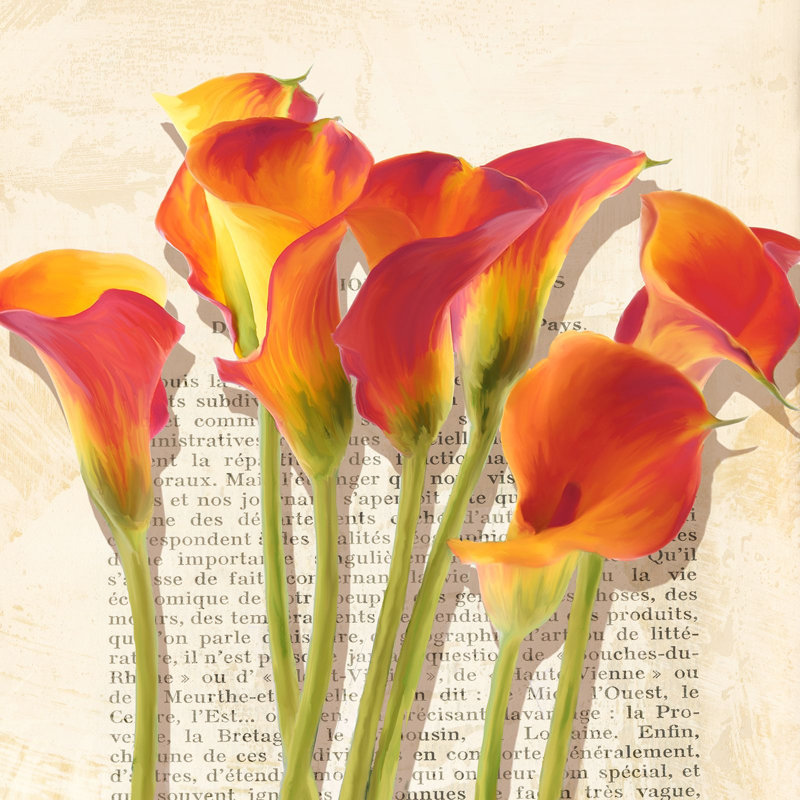 1LC6222 Vintage Composition Of Callas (detail) - Wrapped Canvas Print, 70cm H x 70cm W x 4cm D