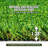 Artificial Grass Tile - 3" x 5", PE, Green, UV Resistant