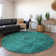 Premium Machine Washable Cerrito AMF554 Teal Rug