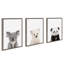 «Baby Bear», «Baby Panda Bear» et «Baby Koala Bear» par Amy Peterson-2071180475