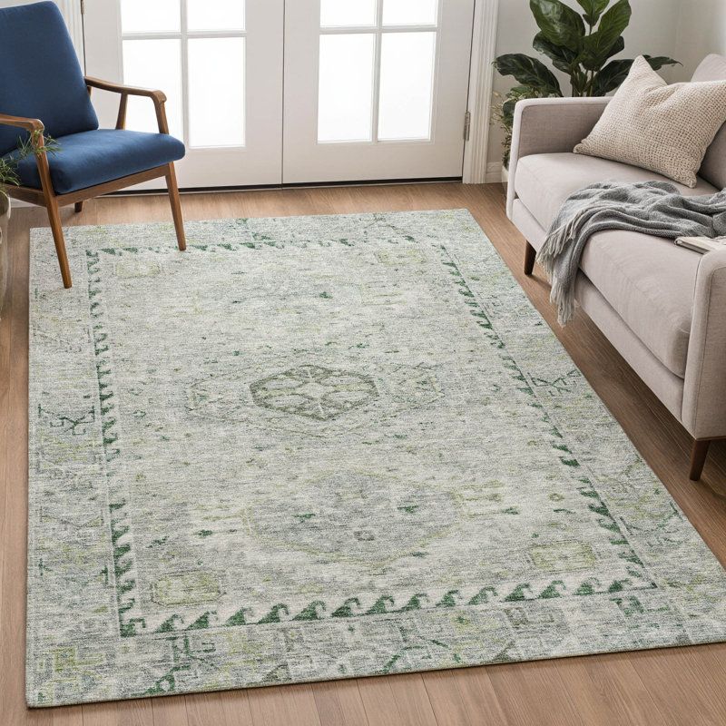 Machine Washable Indoor/Outdoor Jadiel ACN2357 Traditional Rug, Rectangle 10' x 14'