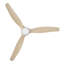 Ventilateur de plafond avec lumières DEL Brocken-88410783-88410786