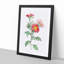 Red Aster Flowers by Pierre-Joseph Redoute - Picture Frame Painting Print-55598093-55598097
