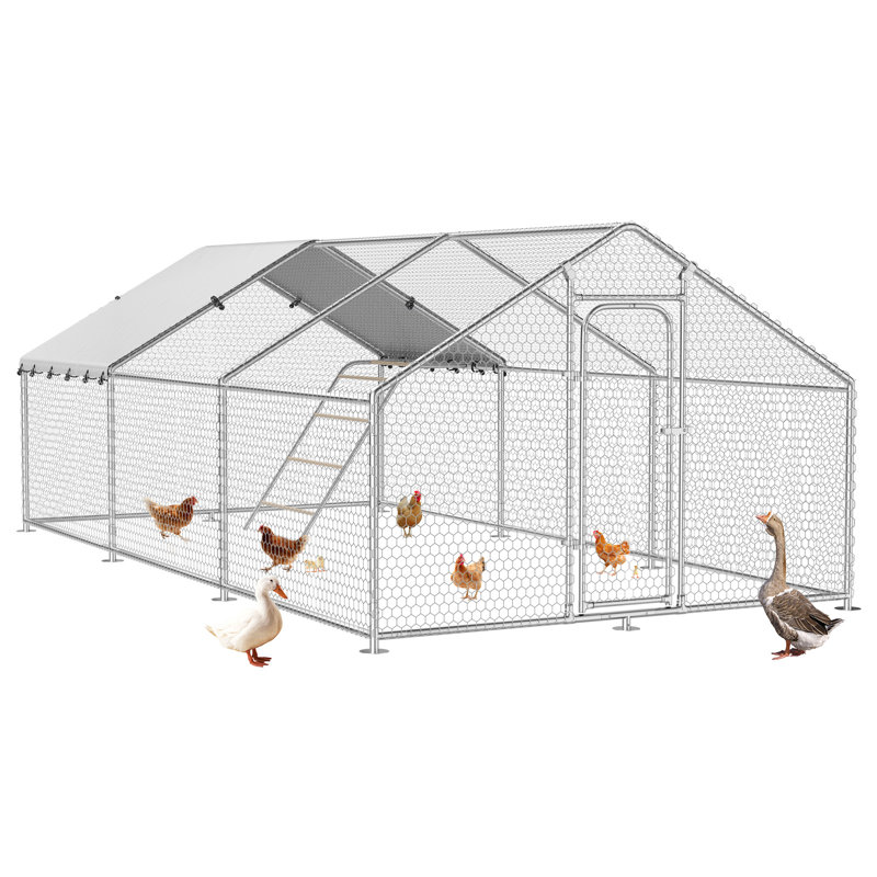 Poulailler avec ruisseau Evell, 76.8" H x 117.6" W x 78.7" D