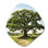 «Green Trees Oak Mighty Oak», art mural asymétrique en forme de nébuleuse