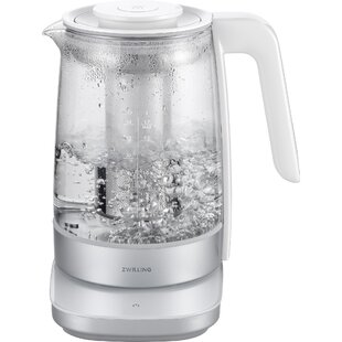 https://assets.wfcdn.com/im/37821332/resize-h310-w310%5Ecompr-r85/1607/160743905/zwilling-enfinigy-electric-tea-kettle.jpg