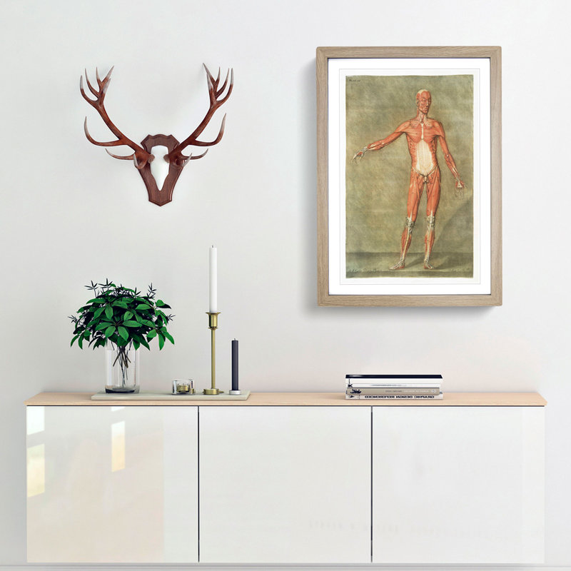 Anatomical Illustration of a Male No. 1 by Gautier-Dagoty - Picture Frame Painting Print, Oak Framed, 65cm H x 48cm W x 2cm D