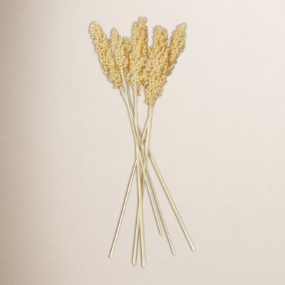 Clerkin Botanical Stems
