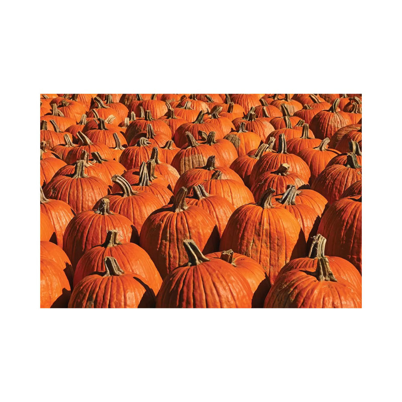 Pumpkins, Pumpkins, Pumpkins by Brian Wolf - Wrapped Canvas Print, 45.72cm H x 66.04cm W x 1.91cm D