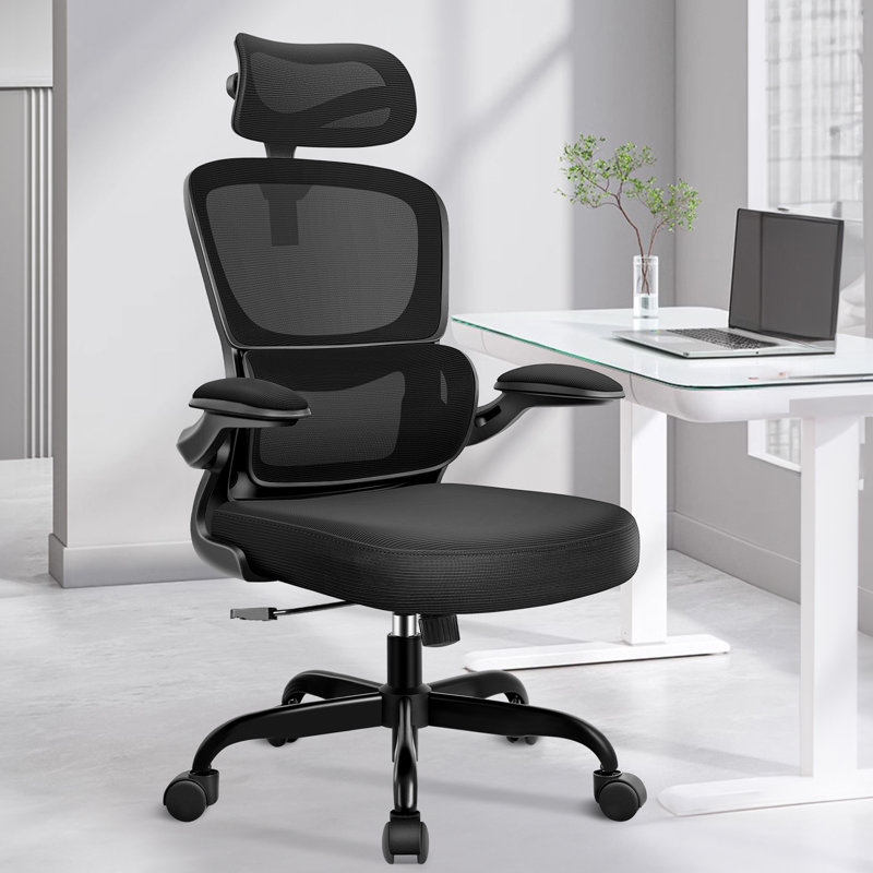 Lidwien Ergonomic Breathable Mesh Office Chair with Adjustable Headrest and Flip-Up Arms, Black/Black