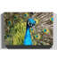 Wrapped Canvas Painting-19091253