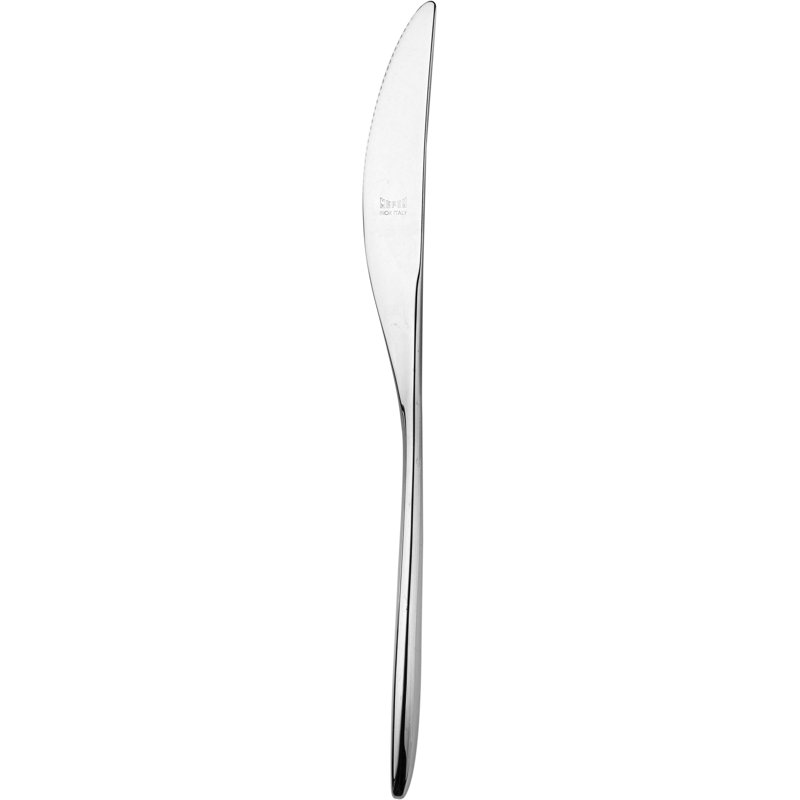 Forma Stainless Steel Steak Knife