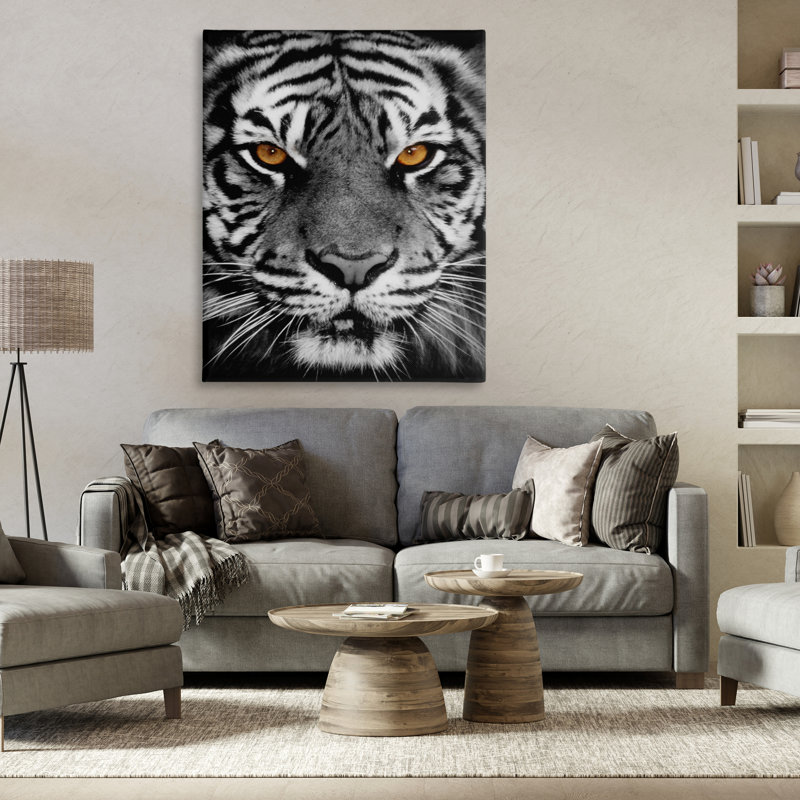 «Tigre féroce» par Danita Delimont, H 48 po x l 36 po