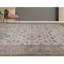 Oriental Indoor Rug