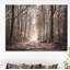 «Forest Trail in Sepia», reproduction de photo sur toile tendue-1534071856-1536404011