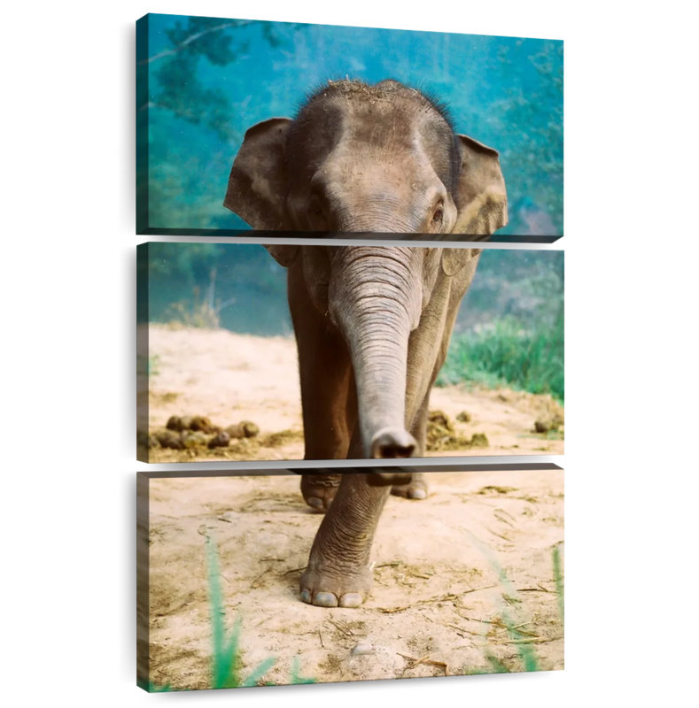 Brampt Curious Baby Elephant, 65" H x 42" W