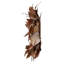  Couronne de 24 po Magnolia Brown. Elle mesure 24 par 12 pouces.