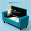 Fauteuil d'appoint élégant, pouf multifonctionnel, banc de rangement avec siège relevable-1119294697
