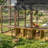 Chicken Run Cage