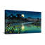 Paysage et nature rivière au clair de lune avec lucioles et étoiles-1163772259