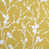 Saffron selected