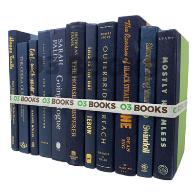 Navy Blue Decorative Books