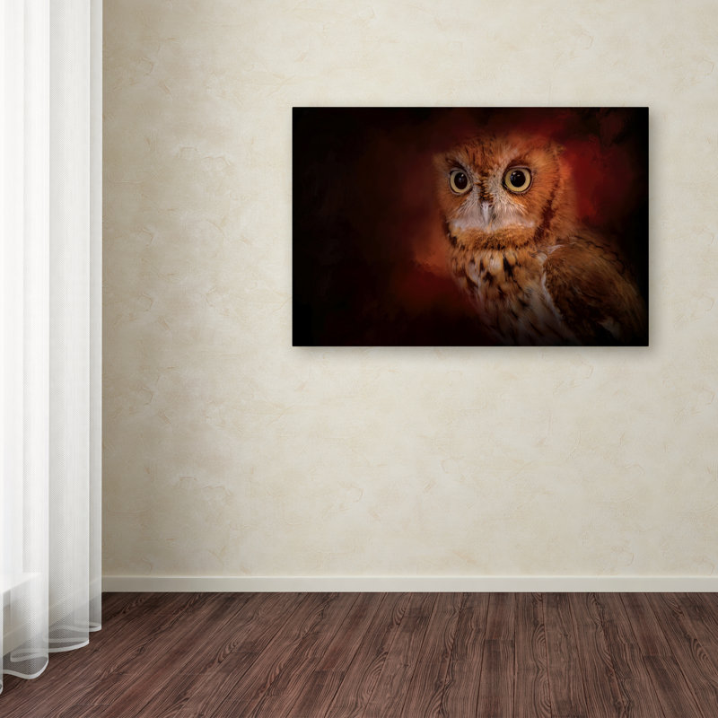 «Owl» de Vidur, impression sur toile tendue, H 12 po x l 19 po